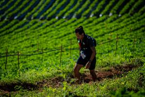 BIB: 
                            <button type="button" onclick="openModal(19160699)" class="btn btn-primary btn-sm float-right btn-popup" data-toggle="modal" data-target=".modal-high-quality">
                        <i class="fas fa-shopping-cart"></i> Add to Cart
                    </button>
                                            <button type="button" onclick="isThisMe(19160699, true)" class="btn btn-success btn-sm float-right btn-popup btn-isme hidden" data-toggle="tooltip" data-placement="bottom" title="นี่คือรูปของคุณใช่ไหม คลิกที่นี่เพื่อเอาเข้าอัลบั้ม">
                        <i class="fas fa-plus"></i> Add to album
                    </button>
                    <button type="button" onclick="isThisMe(19160699, false)" class="btn btn-warning btn-sm float-right btn-popup btn-isnotme hidden">
                        <i class="fas fa-ban"></i> Remove from album
                    </button>